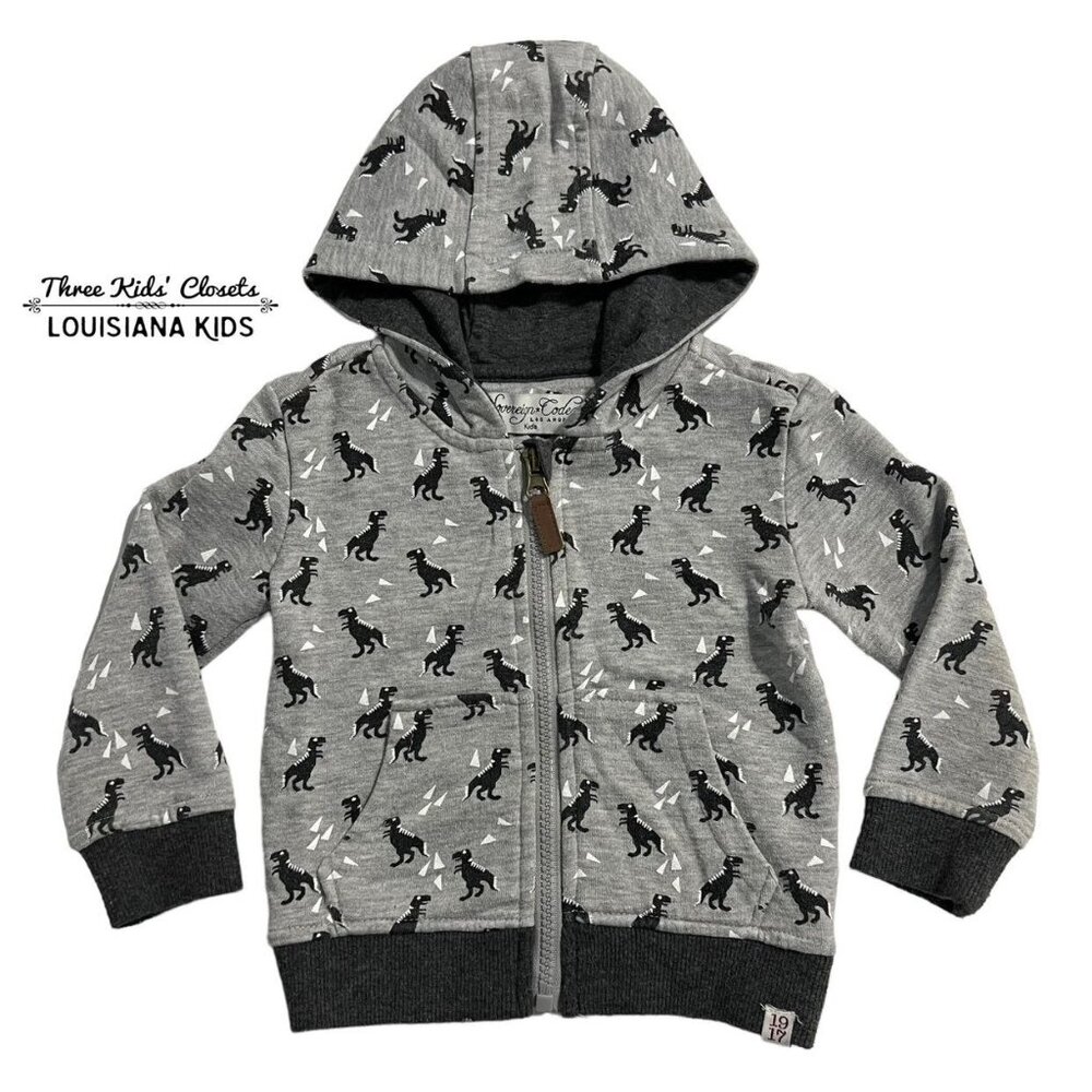 Sovereign Code 18m Grey Dinosaur Hoodie